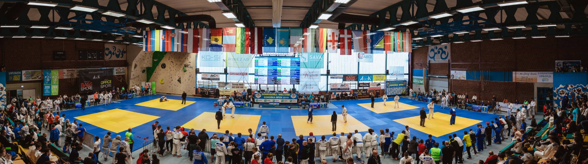 Judo Koroška